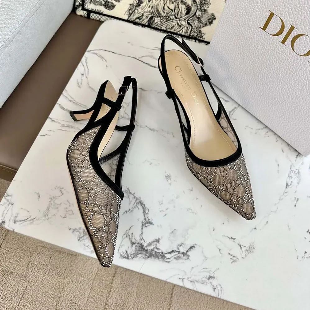 Dior Capture Slingback Pump Transparent Mesh with Silver for Women in Tone Strass Cannage Motif