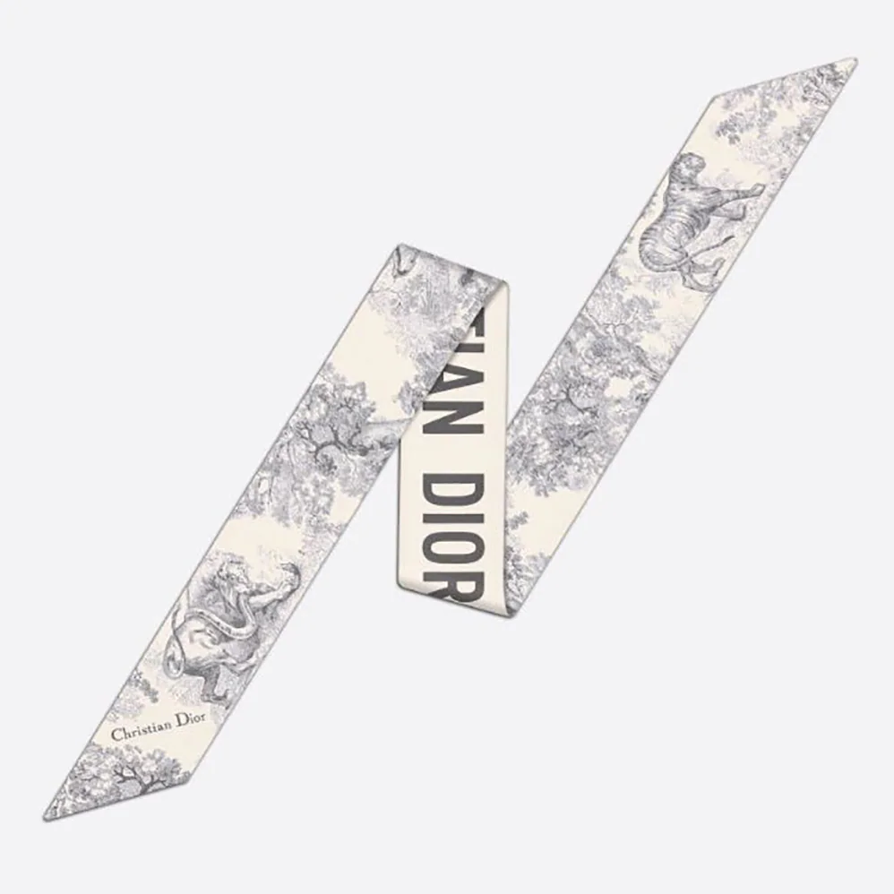 Dior Toile DE Jouy Mitzah Scarf Silk Twill for Women in Silver