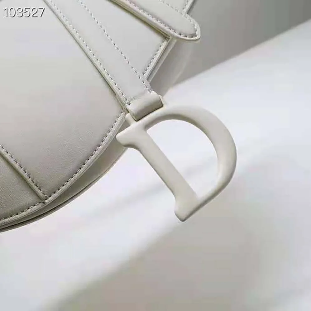 Dior Saddle Bag Latte Ultramatte Calfskin for Women Dior Saddle Bag Latte Ultramatte Calfskin for Women