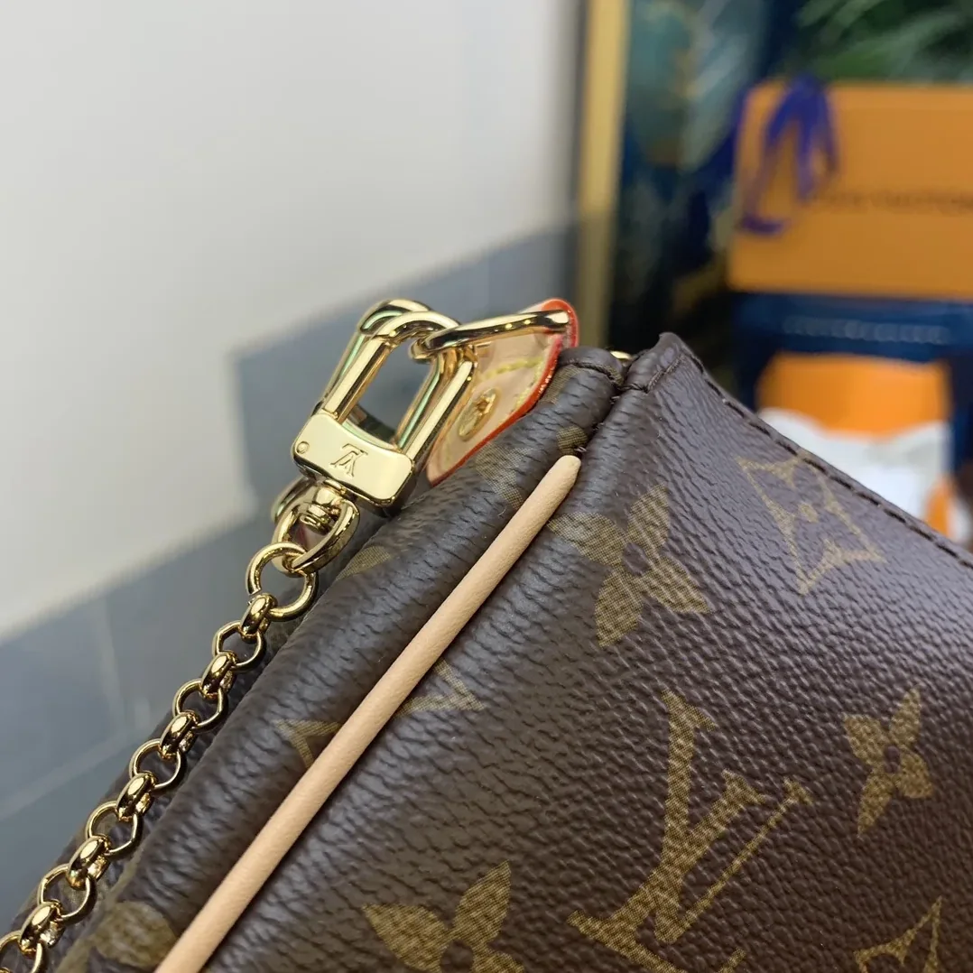 Louis Vuitton Eva 2Way Chain Shoulder Bag in Brown Monogram