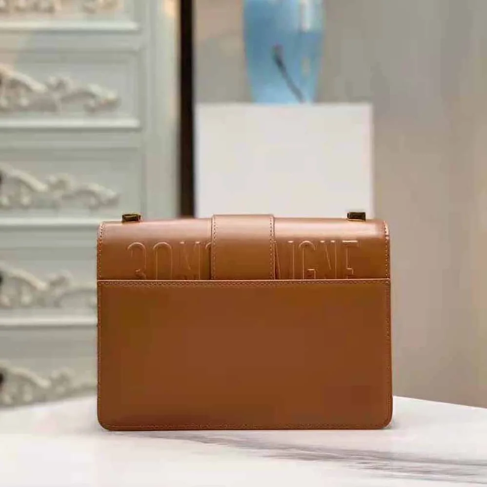 Dior 30 Montaigne Bag Des Vents Box Calfskin for Women in Brown
