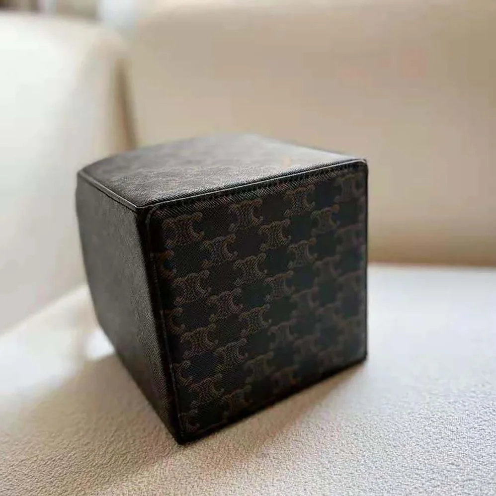 Celine Cube Bag Cuir Triomphe in Triomphe Canvas and Calfskin for Women