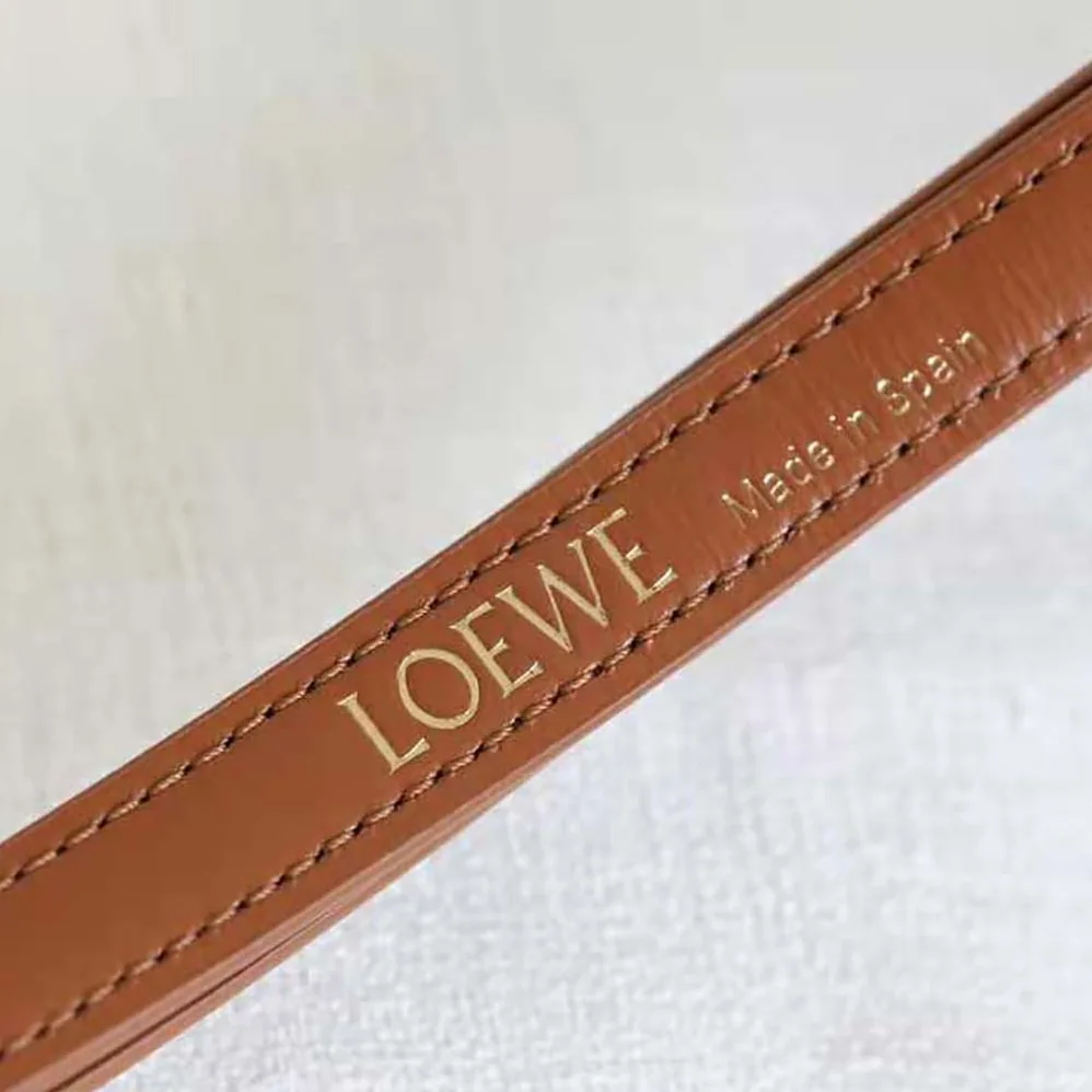 Loewe Goya Bag in Silk Calfskin for Women in Brown Loewe Goya Bag in Silk Calfskin for Women in Brown